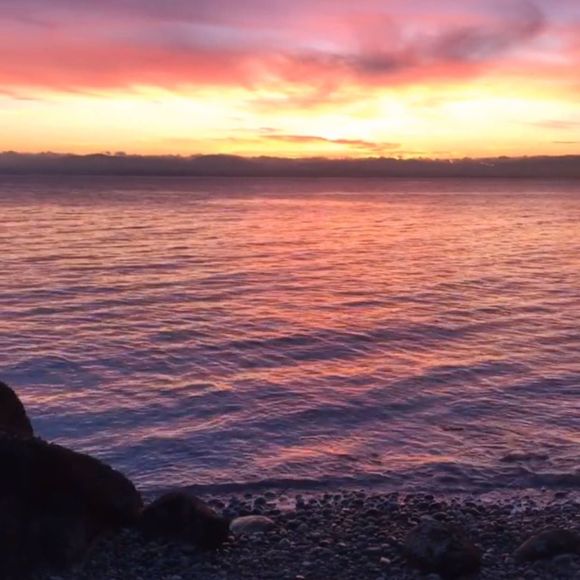 Meet your Posher, Sally - Picture 1 of 1